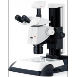 Leica M165 C 研究级数字式立体显微镜