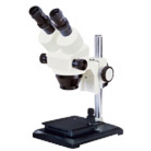 三目体视显微镜