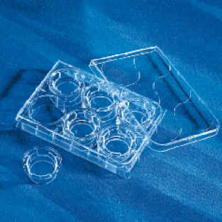 CORNING PTFE膜细胞培养插入皿