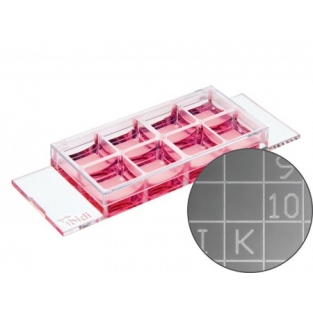 ibidiμ-slide 8孔带计数格腔室载玻片 80826-G500 80821-G500