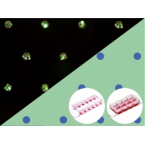 µ-Slides With Multi-Cell µ...